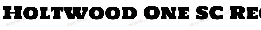 Holtwood One SC Regu字体转换